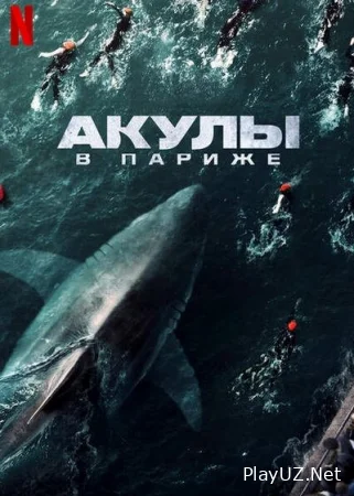Parijdagi akulalar Uzbek tilida 2024 O'zbekcha tarjima kino 1080 HD skachat